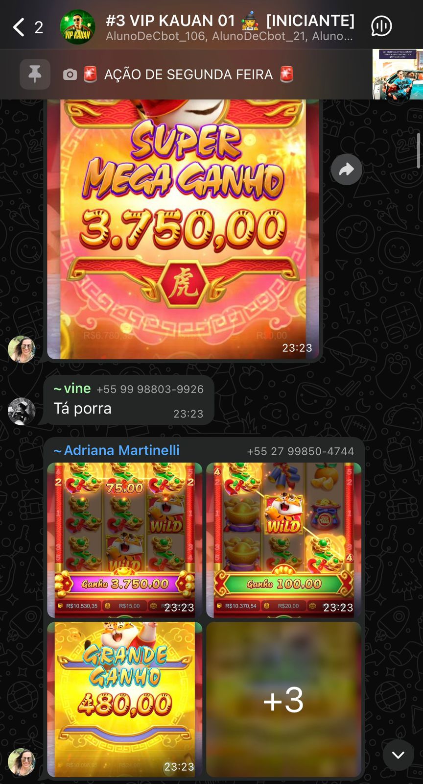 WhatsApp Image 2025-10-09 at 15.20.32